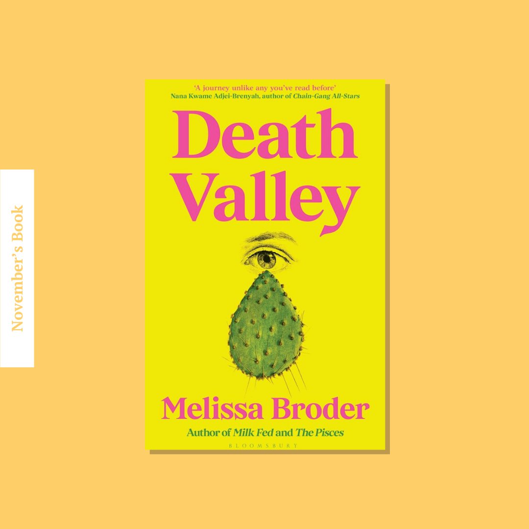 WellRead November Selection: Death Valley by Melissa Broder - WellRead